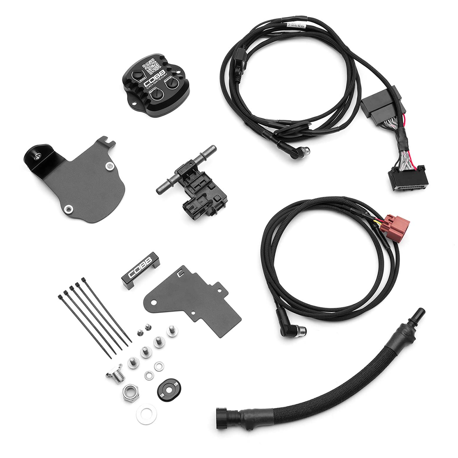 COBB CAN Flex Fuel Upgrade Kit Ford Raptor (2017-2020)