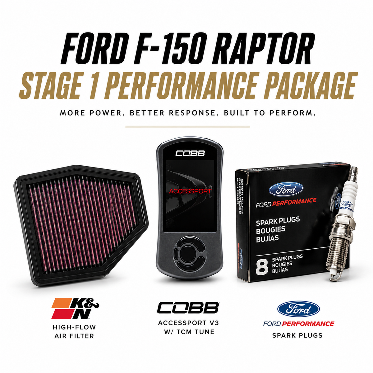 RaptorMods Stage 1 Performance Package Ford F150 Raptor (2017-2020)