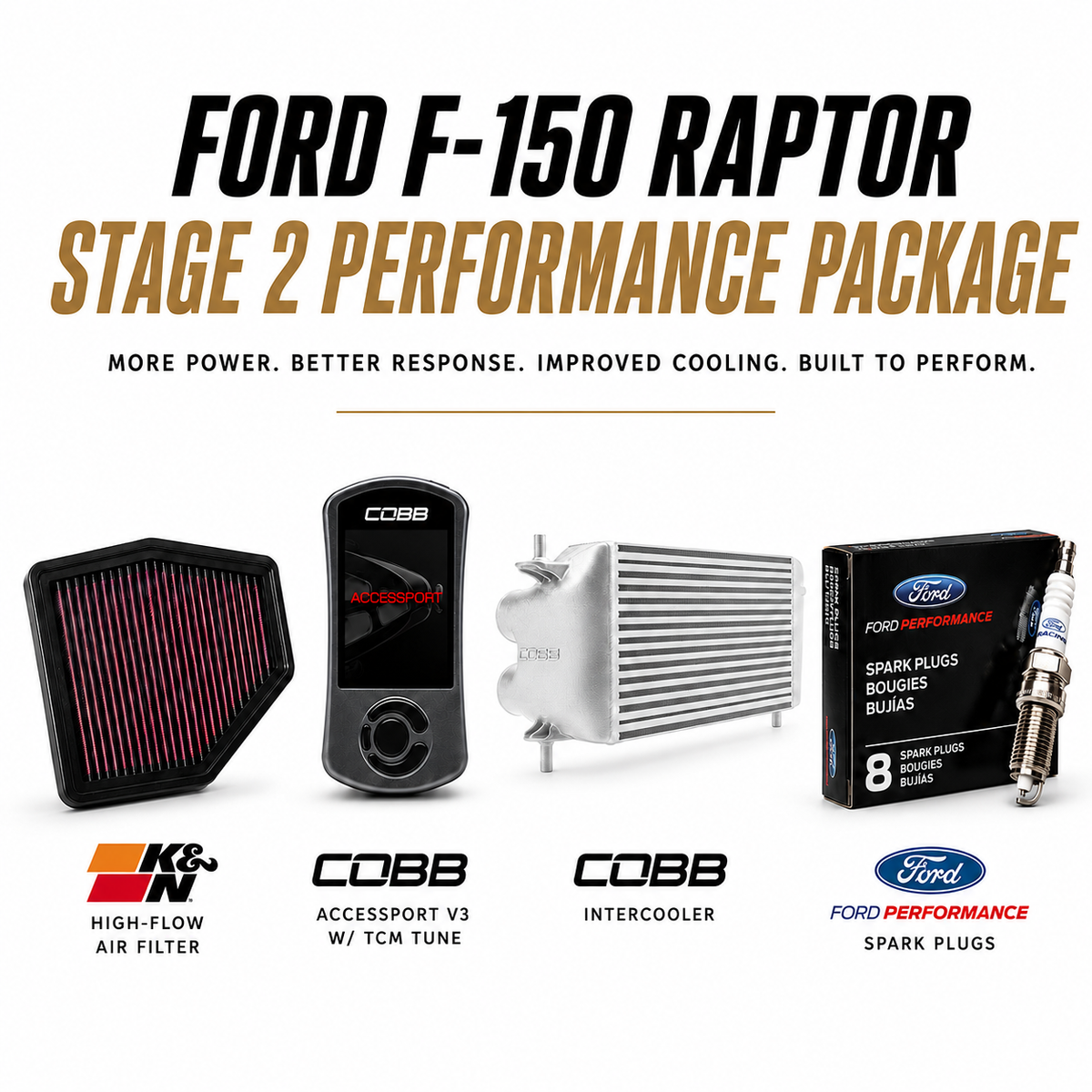 Raptor Mods Stage 2 Performance Package Ford F150 Raptor (2017-2020)